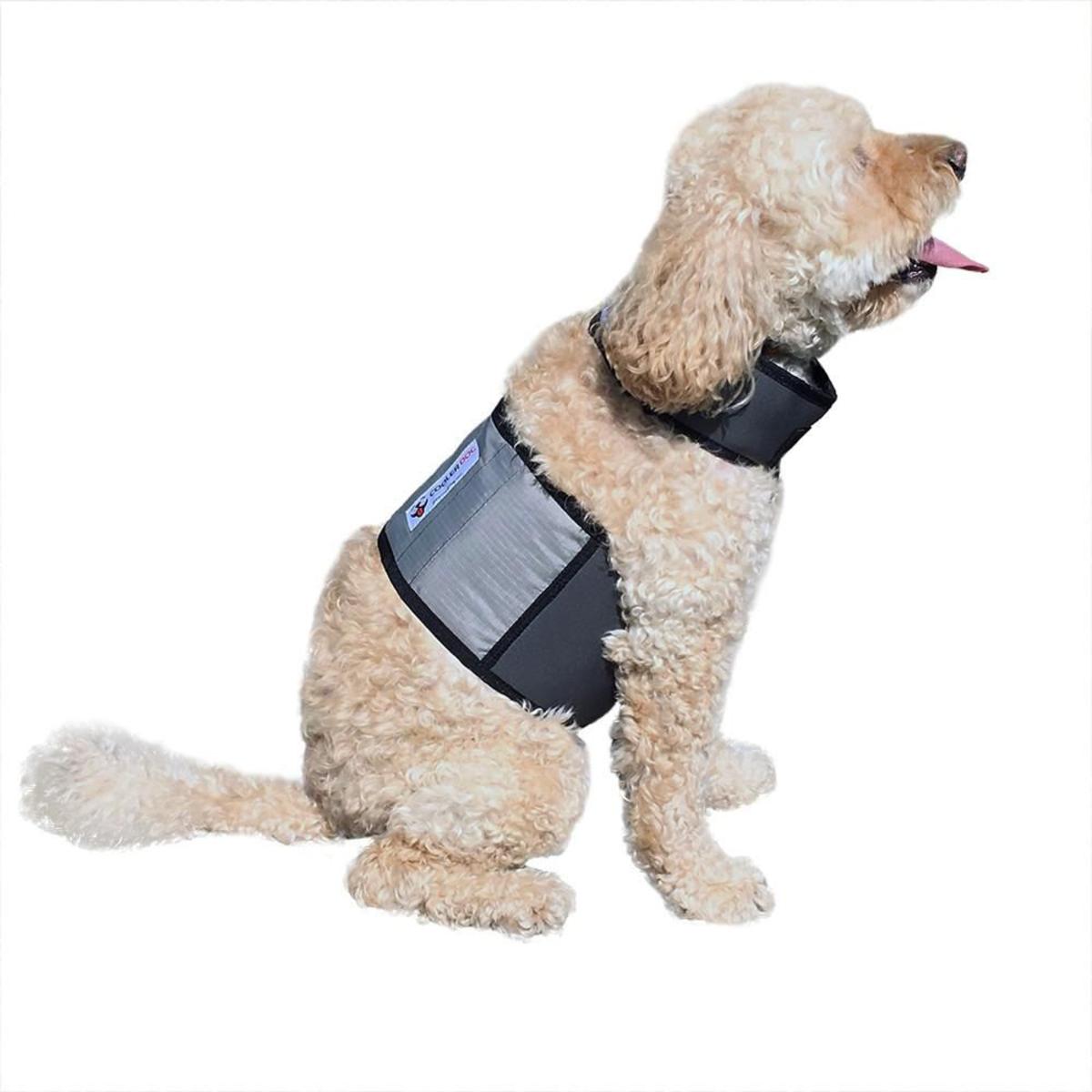 Cooler Dog Cooling Vest and Collar - Small 788451777039 | eBay